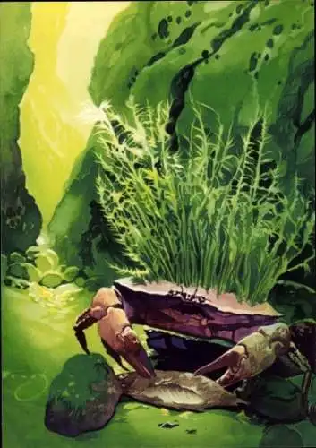 Künstler Ak Wendt, Krebs