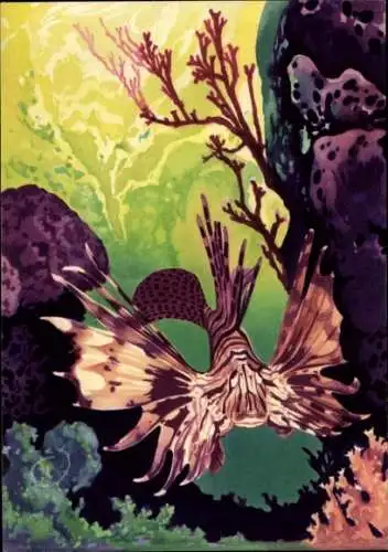 Künstler Ak Wendt, Rotfeuerfisch