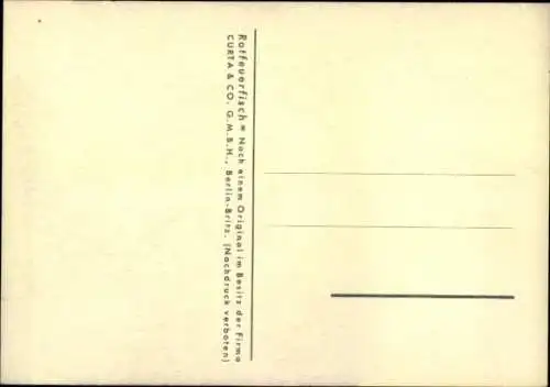 Künstler Ak Wendt, Rotfeuerfisch