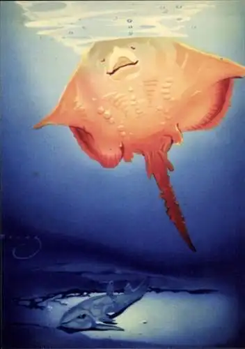 Künstler Ak Wendt, Nagelrochen und Katzenhai