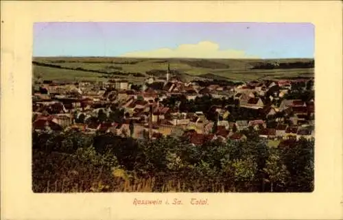 Ak Roßwein in Sachsen, Panorama
