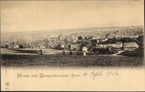 Ak Benneckenstein Oberharz, Panorama