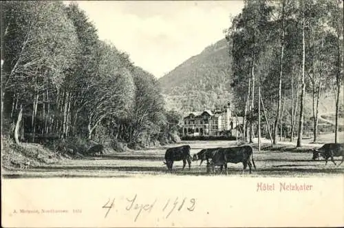 Ak Netzkater Ilfeld am Harz Thüringen, Hotel, Kühe