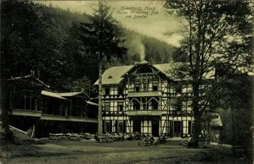 Ak Ilsenburg am Nordharz, Hotel Prinzess Ilse im Ilsetal, Außenansicht