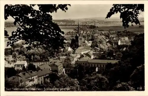 Ak Bad Freienwalde an der Oder, Panorama vom Schlossberg gesehen