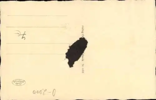 Ak Neubrandenburg in Mecklenburg, Wiekhäuser an der Stadtmauer