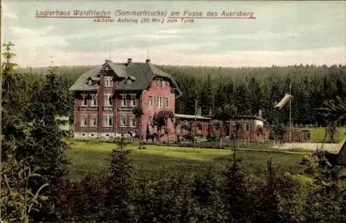 Ak Steinbach Johanngeorgenstadt im Erzgebirge, Logierhaus Waldfrieden