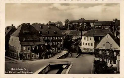 Ak Hainichen in Sachsen, am Damm und Berghäuser