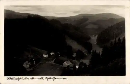 Ak Schübelhammer Schwarzenbach am Wald Oberfranken, Wallenfels, Totale
