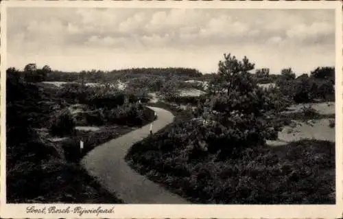 Ak Soest Utrecht Niederlande, Bosch-Rijwielpad