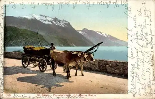 Ak Lago di Garda Lombardia, Gardasee, Ponalestraße mit Monte Baldo, Rindergespann mit Heuwagen