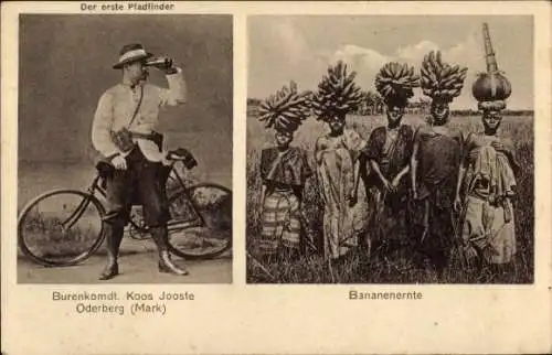 Ak Burischer Kämpfer Jacobus Petrus Jooste, Koos Jooste, erster Pfadfinder, Bananenernte