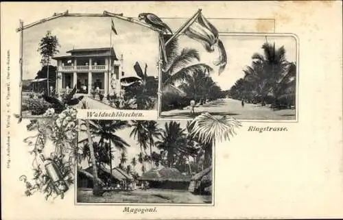 Ak Magogoni Tansania, Ringstraße, Waldschlösschen, Palmen