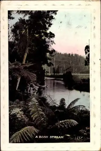 Ak Neuseeland New Zealand, A Bush Stream, Fluss