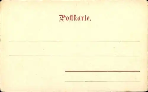 Stereo Ak Cactushain, Palme