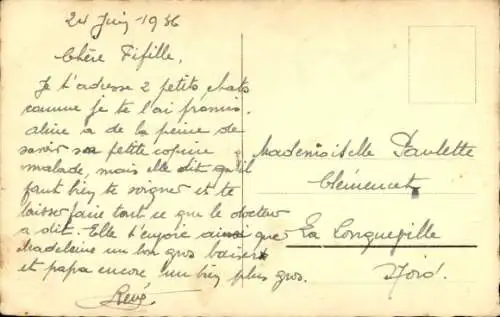 Ak Zwei Katzen, sitzend vor einem Korb