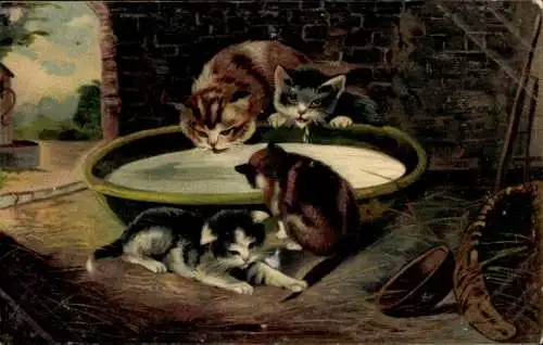 Ak Vier Katzen trinken aus einem Napf, Reklame, Hoffmanns Stärkefabriken Salzuflen