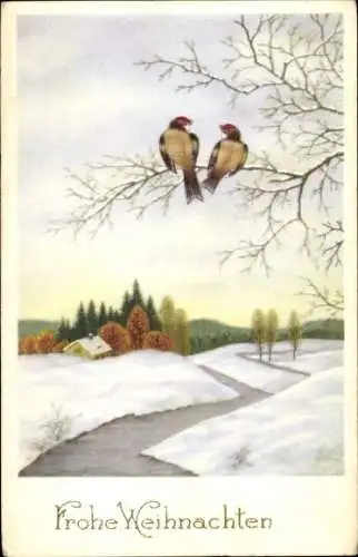 Ak Glückwunsch Weihnachten, Winterlandschaft, Vögel auf einem Baum