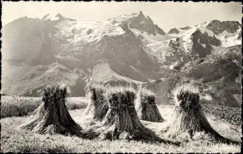 Ak Landwirtschaft, Strohgarben, Gebirge, Bergspitzen