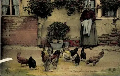 Ak Bauernhof, Frau füttert Hühner
