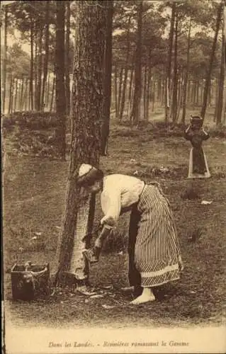 Ak In den Landes holen Resinieres den Edelstein ab