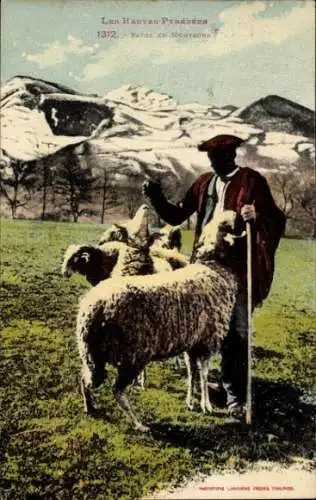 Ak Hirte, Schafherde, Landwirtschaft, Berge