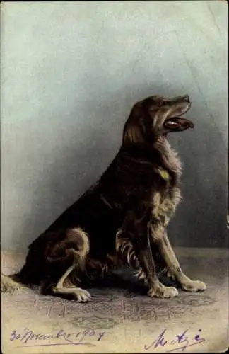 Litho Brauner Hund, Portrait