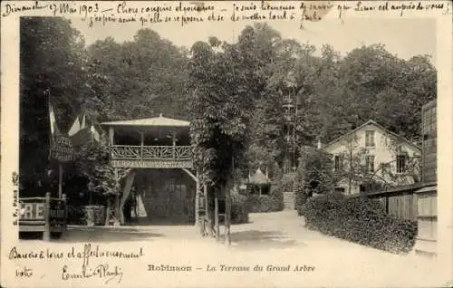 Ak Robinson Hauts de Seine, La Terrasse du Grand Arbre