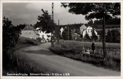 Ak Schnarrtanne Auerbach im Vogtland, Teilansicht