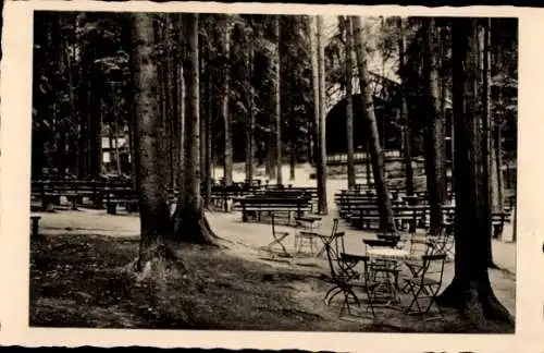 Ak Bad Elster Vogtlandkreis, Waldquellen Kaffee am Brunneberg, L.A. Exner