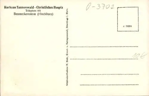 Ak Benneckenstein Oberharz, Gesamtansicht, Blick vom Kurhaus Tannenwald