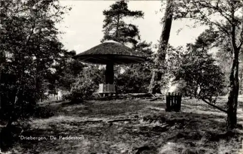 Ak Driebergen Utrecht Niederlande, Paddestoel