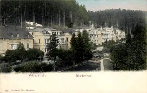 Ak Mariánské Lázně Marienbad Region Karlsbad, Waldquellzeile