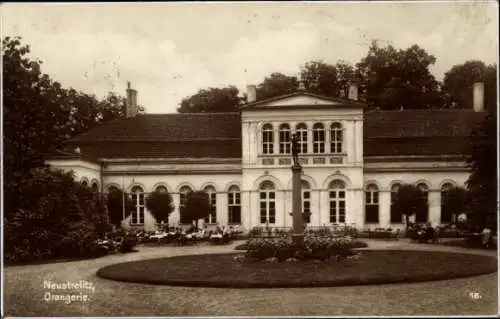 Ak Neustrelitz in Mecklenburg, Orangerie