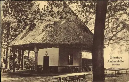 Ak Itzehoe in Schleswig Holstein, Ansicht vom Pavillon der Amönenhöhe