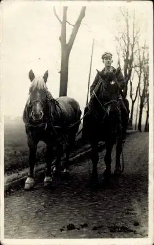 Foto Ak Mann mit zwei Pferden auf einer Straße