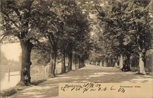 Ak České Budějovice Budweis Südböhmen, Krummauer Allee