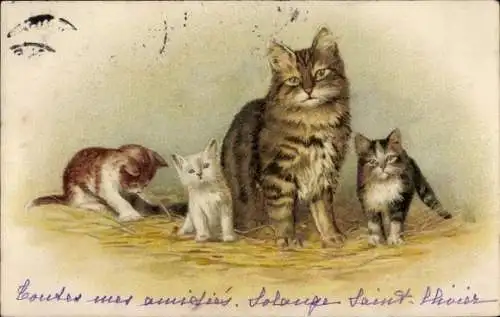 Litho Getigerte Katze mit drei jungen Kätzchen