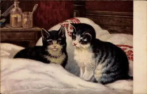 Künstler Ak Der Patient, zwei Katzen auf einem Bett, Medizin