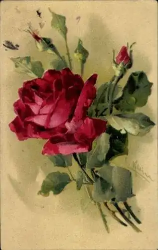 Künstler Ak Klein, Catharina, rote Rosen