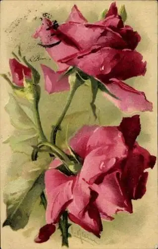 Künstler Ak Klein, Catharina, dunkelrote Rosen