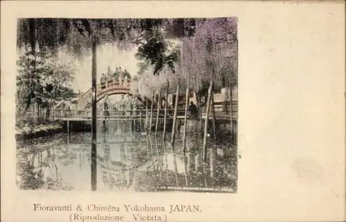 Ak Yokohama Präf. Kanagawa Japan, Brücke über einen Teich
