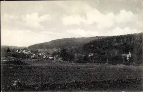 Ak Blitzenrod Lauterbach in Hessen, Gesamtansicht