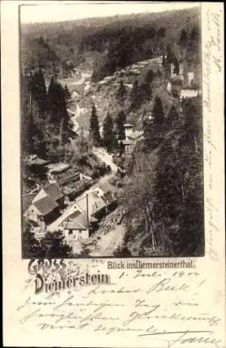 Ak Diemerstein Frankenstein in der Pfalz, Diemersteinerthal