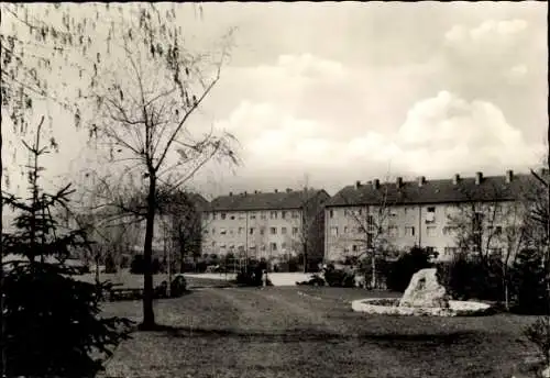 Ak Viernheim in Hessen, Siedlung, Wohnhäuser