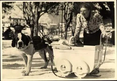 Ak Grindelwald Kanton Bern, Juliana der Niederlande, Bernhardiner zieht Kinderwagen mit Beatrix 1939