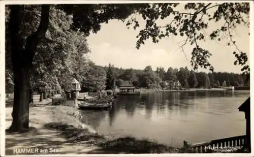 Ak Hamr na Jezeře Hammer am See Region Reichenberg, Wasserpartie