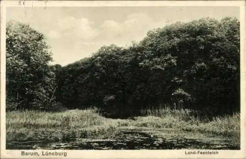 Landpoststempel Barum Lüneburg Land, 20.07.1929, Ansichtskarte Barum, Feenteich