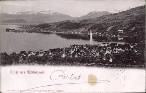Ak Richtersweil Richterswil Kanton Zürich, Panorama