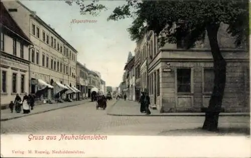 Ak Neuhaldensleben Haldensleben Börde, Hagenstraße